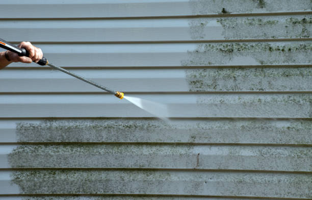 Best Patio and Deck Pressure Washing  in Eaton Rapids, MI