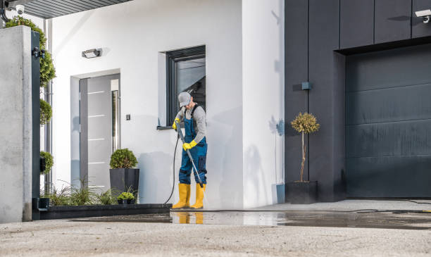 Boat and Dock Cleaning in Eaton Rapids, MI